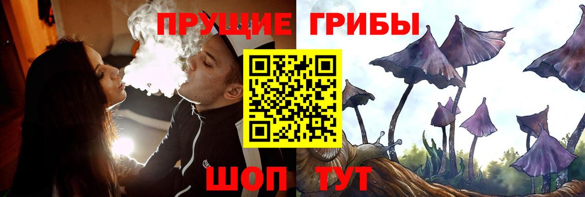 купить наркотик  Псилоцибиновые грибы мухоморы  Вход с VPN  Галлюциногенные грибы мухоморы  Клинцы 